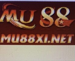 mu88 xi's company