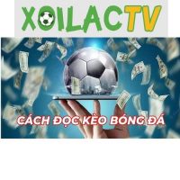 Cách đọc kèo bóng đá