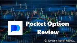 Everything You Need to Know About Pocket Option Cabinet 33