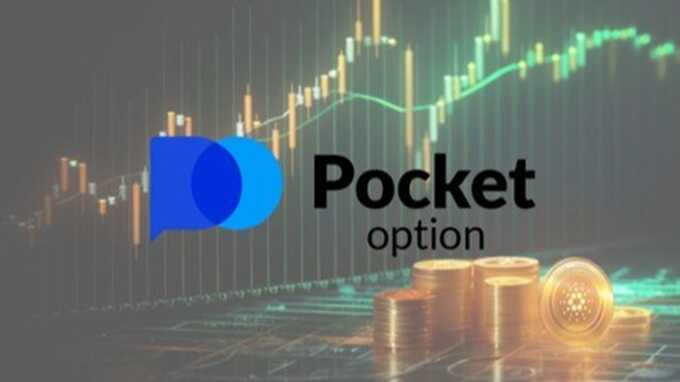 Everything You Need to Know About Pocket Option Cabinet 33
