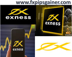 Exploring Exness Advanced Tools for Successful Trading