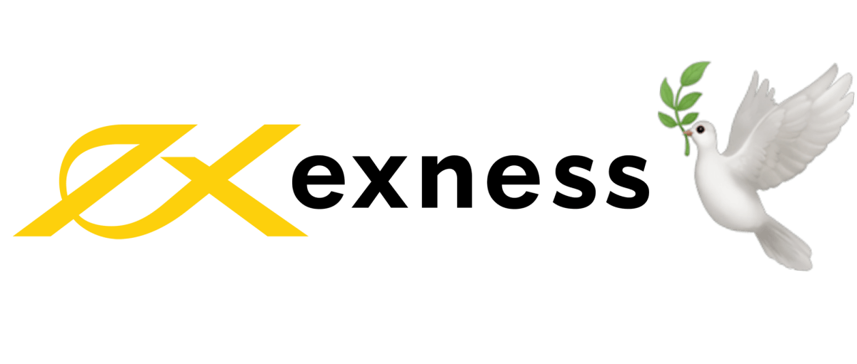 Comprehensive Guide to the Exness Trading Platform 22